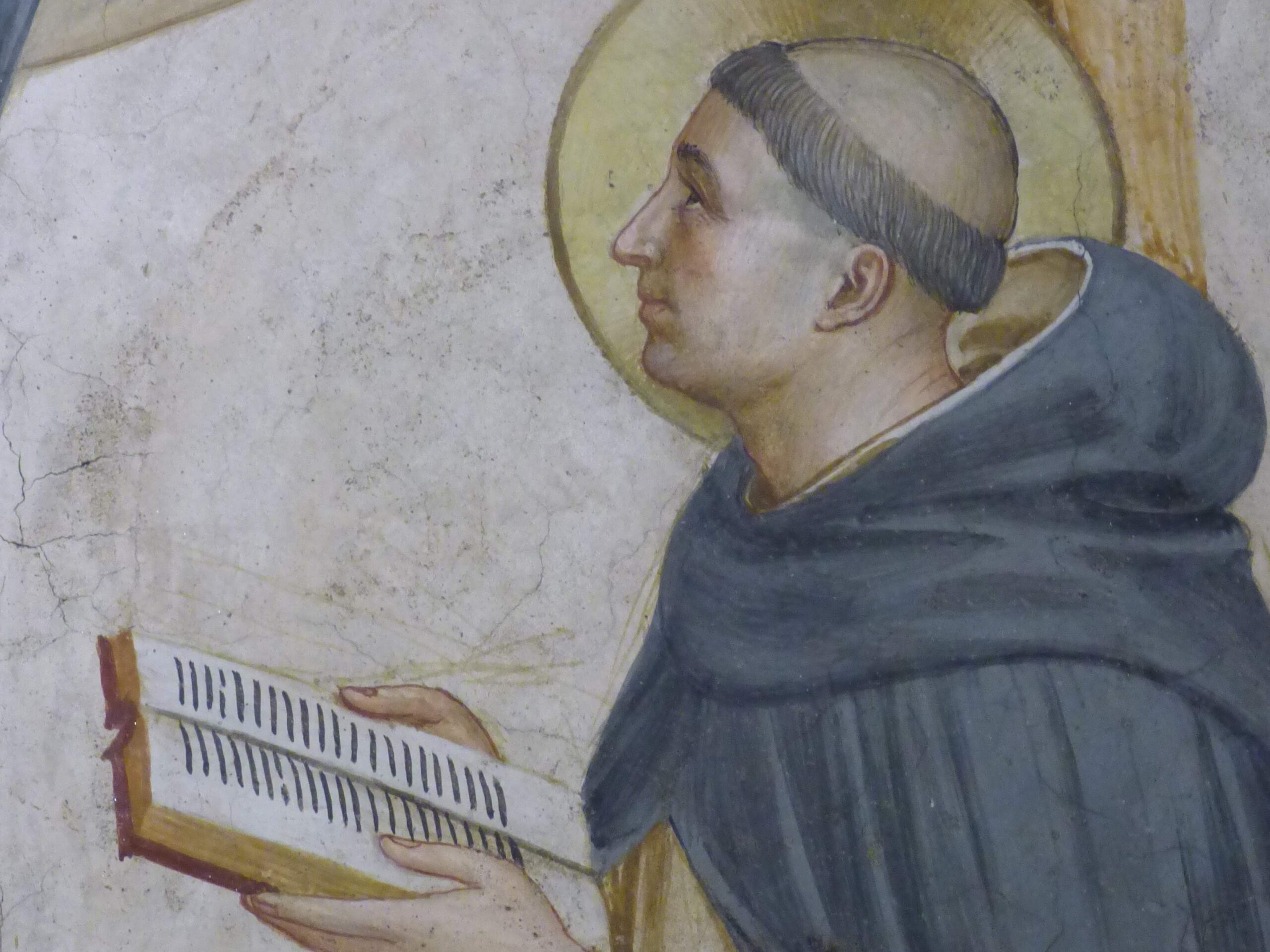 aquinas-jubilee-the-lay-dominicans-of-england-scotland-wales